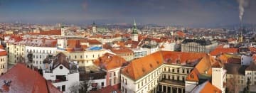 Jiřina Nepalová, EY